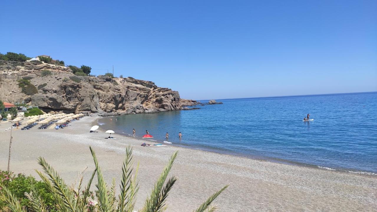 Blue Paradise إرابيترا المظهر الخارجي الصورة