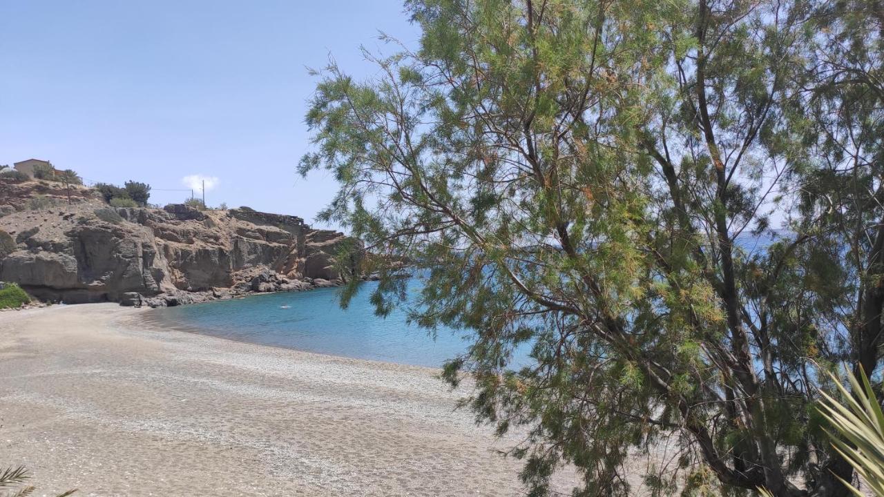 Blue Paradise إرابيترا المظهر الخارجي الصورة